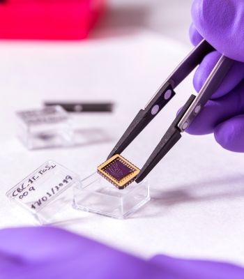 Imagen de un microchip